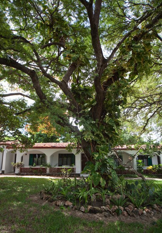 Diani Sea Lodge شاطئ دياني المظهر الخارجي الصورة