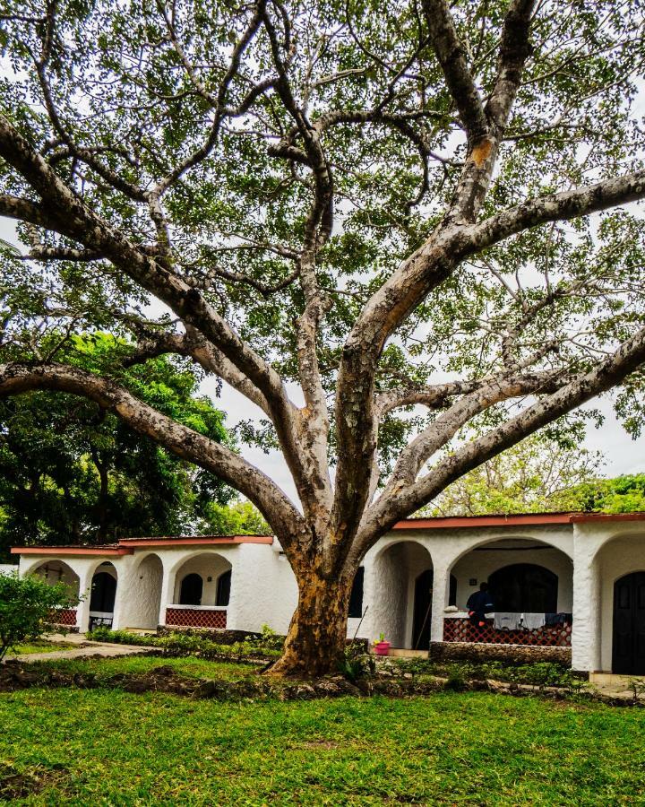 Diani Sea Lodge شاطئ دياني المظهر الخارجي الصورة