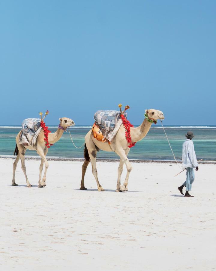 Diani Sea Lodge شاطئ دياني المظهر الخارجي الصورة