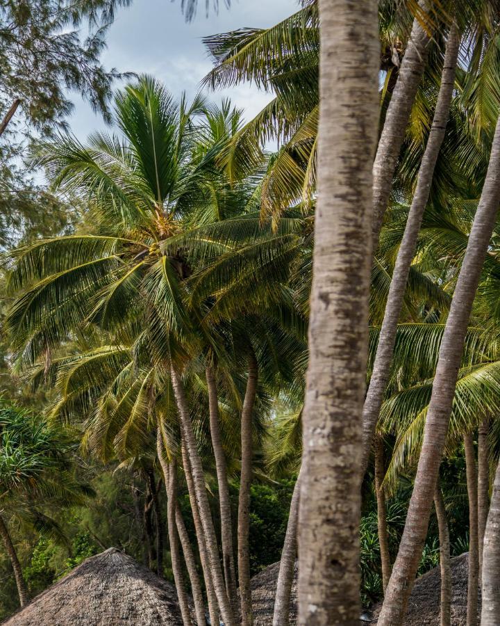 Diani Sea Lodge شاطئ دياني المظهر الخارجي الصورة